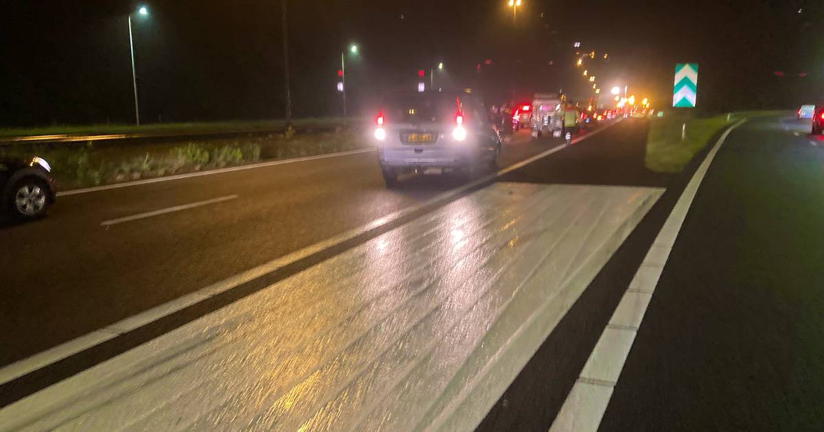 Auto met zeven inzittenden twee keer aangereden op A58: vrouw overleden en zes gewonden.