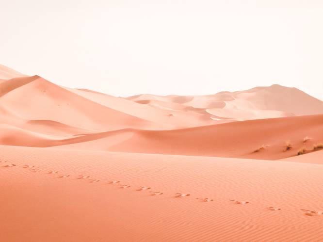 Zes woeste woestijnen die scoren op Instagram