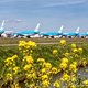 Minister: krimp Schiphol is tijdelijk, vanaf 2027 ongelimiteerd vliegen met ‘schone’ vliegtuigen