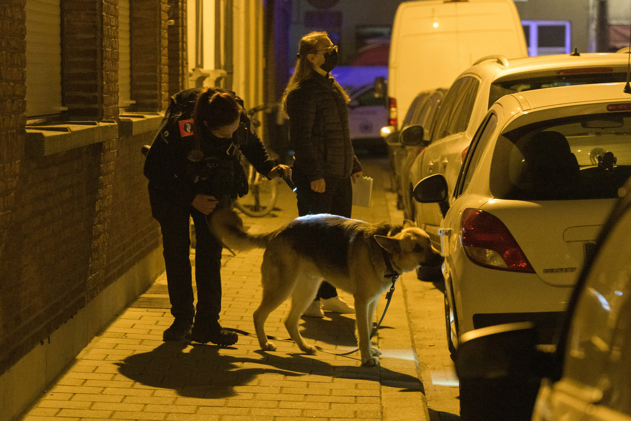 null Beeld © Marc De Roeck