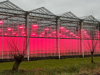 Nieuw elektriciteitsstation in Bommelerwaard: twee grote tuinders profiteren