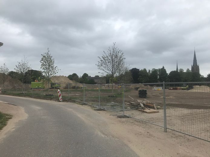 De contouren van de brink krijgen vorm door een aantal bomen.