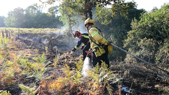 Vlaamse brandweer start met bijscholing natuurbrand: 30 uur extra vorming voor iedere brandweerman