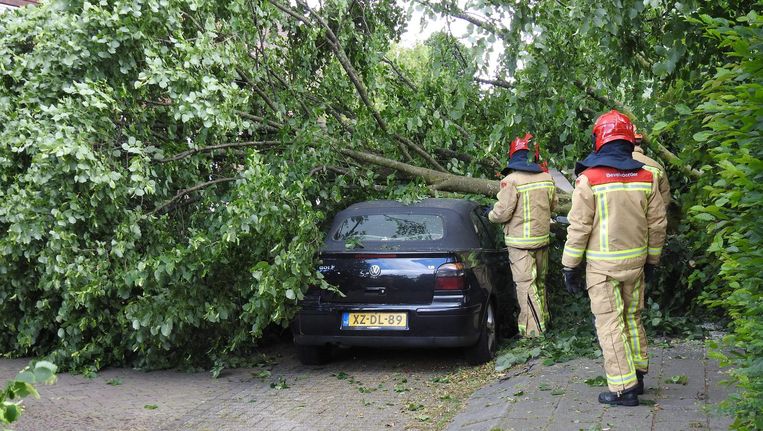 Een aantal fraudeurs haalden hun foto's van internet en dienden hiermee een claim in. Beeld ANP