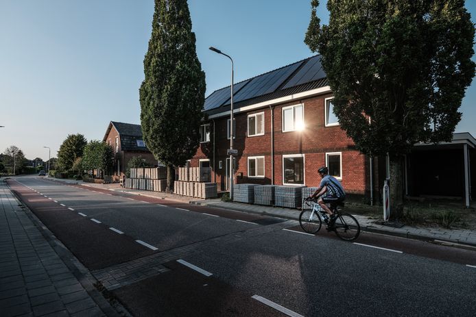 Twee zuileiken aan de Raadhuisstraat in het Gelderse Hengelo worden gekapt, omdat ze te dicht op een recent opgeleverd huizenblok staan.