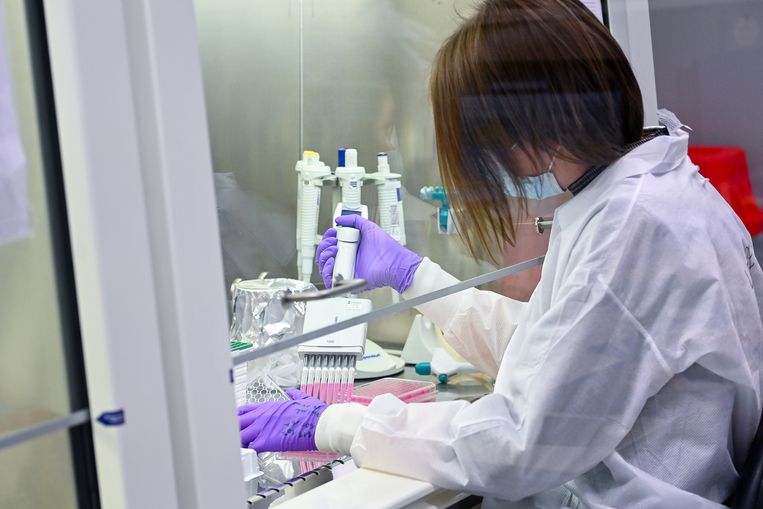 Il laboratorio di Leuven ha rilevato le più alte concentrazioni di coronavirus nelle acque reflue dall’inizio delle misurazioni