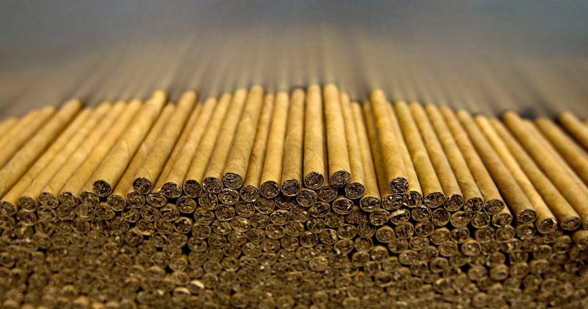 Laatste grote Nederlandse sigarenfabrikant uit Duizel geeft zelfstandigheid op voor 210 miljoen euro