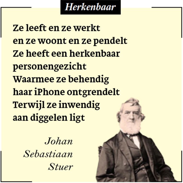 Stuer 25 Beeld Humo