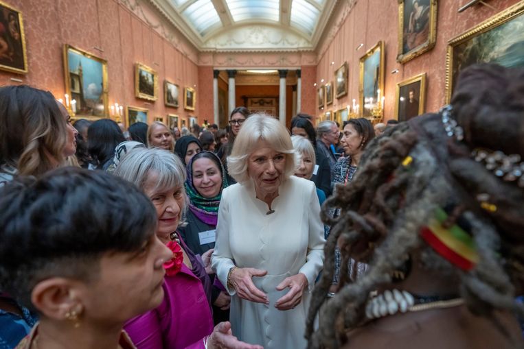 Op de receptie, door koningin-gemalin Camilla georganiseerd, waren liefdadigheidsorganisaties uitgenodigd die zich inzetten voor vrouwen die het slachtoffer zijn van geweld. Beeld Photo News