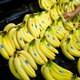 Welk voedingslogo gaat ons straks in de supermarkt helpen gezond eten te kopen?