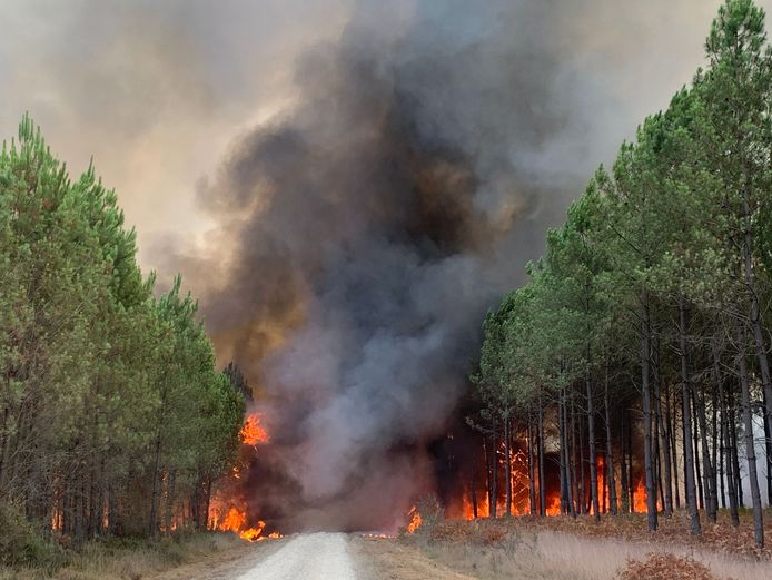 Les reprises d'incendies près de la commune française de Landiras, en Gironde, théâtre d'un gigantesque incendie en juillet, ont ravagé 6.000 hectares de forêts de pins depuis mardi après-midi.