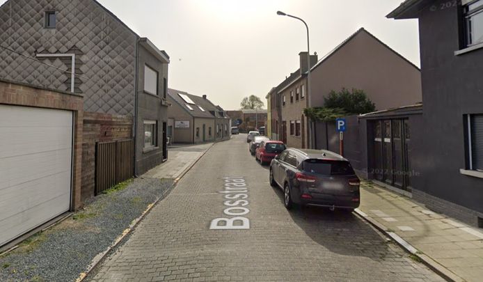 De Bosstraat in Denderleeuw.
