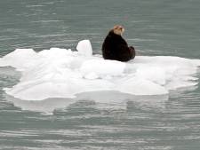 L'Alaska n'a jamais eu aussi chaud