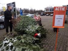 Last minute een gratis kerstboom ophalen in Doetinchem; anders gaan ze de container in