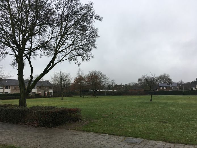 De plek van de vroegere Toermalijn-school is nu grasveld. Hier moet de nieuwbouw van de Vuurvogel komen.