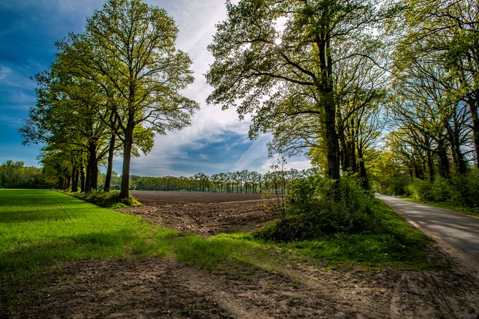 Het karakteristieke coulisselandschap van de Achterhoek.