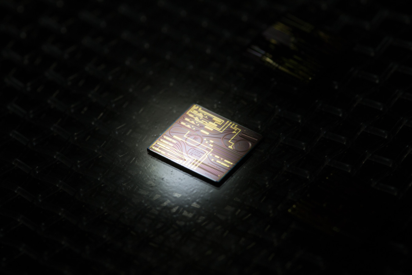 Een fotonische chip zorgt ervoor dat ook bínnen een apparaat gegevens kunnen worden doorgestuurd met (bijna) de lichtsnelheid.