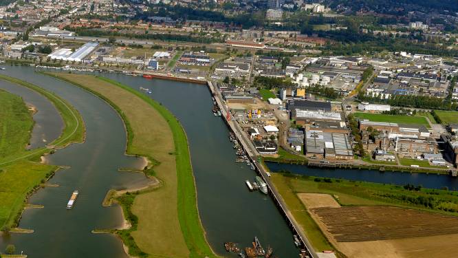 Bomenbond daagt provincie voor de rechter over centrale voor biomassa in Arnhem