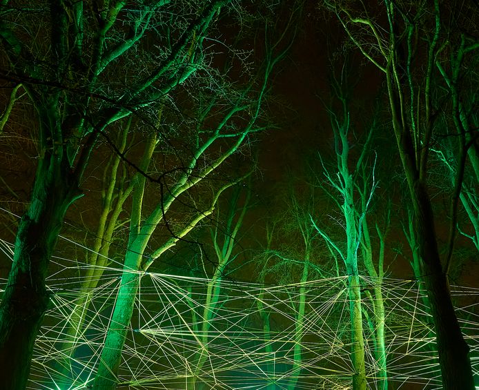 Sfeerbeeld van de lichtinstallatie