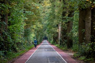 Aanpak Schoonhetenseweg nadert rap: aannemer kan in september beginnen
