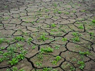 Hydrologisch tekort in Vlaanderen overschrijdt dat van 1976 en 2018