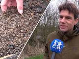 Zeeuwse imkers in zak en as: ‘Bijna al mijn bijen zijn dood’