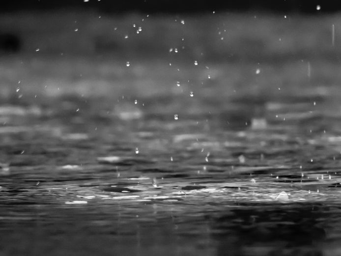unsplash.com | @r_shayesrehpour