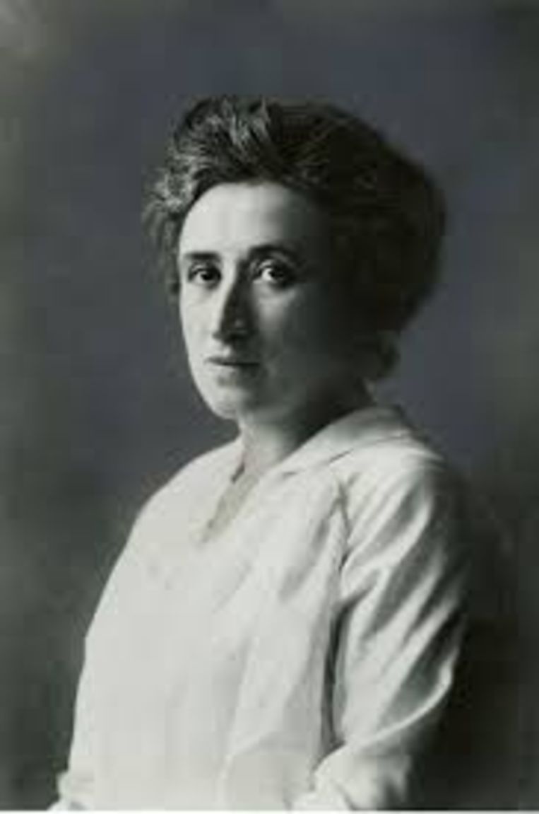 Rosa Luxemburg Beeld 