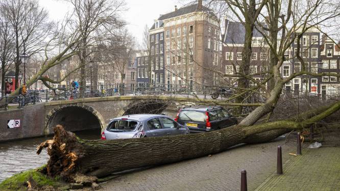 Interpolis heeft al ‘erg veel’ meldingen van stormschade binnengekregen
