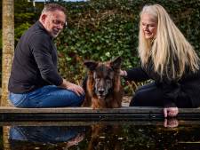 Deze baasjes verkochten hun auto en hielden een inzameling voor hond Jax: ‘We zijn iedereen dankbaar’