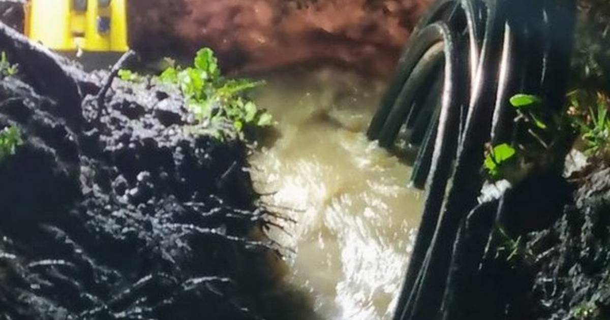 Waterleiding gesprongen in Nieuw-Beijerland, zeker twee huizen met schade
