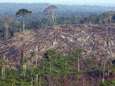 Duitsland schenkt 200 miljoen euro voor bescherming Amazonewoud in Brazilië