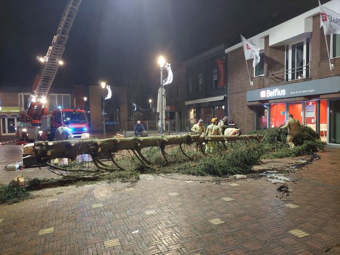 Brandweerpost Brakel kwam ter plaatse om de boom te verzagen.