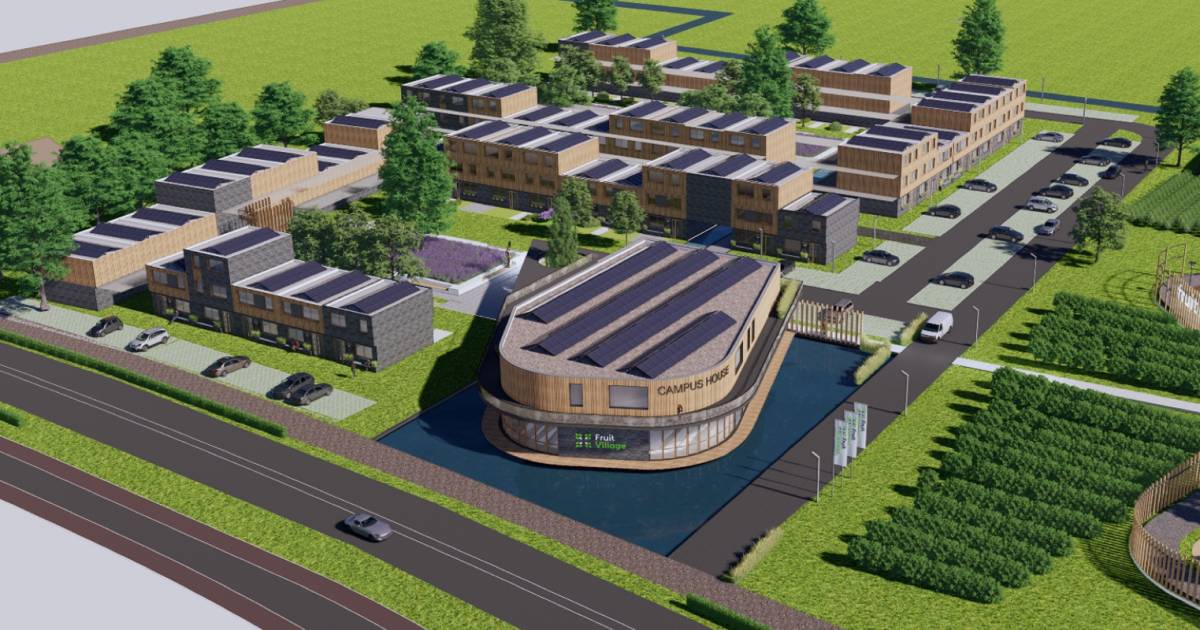 West Betuwe wil weten waar en hoe arbeidsmigranten wonen - De Gelderlander