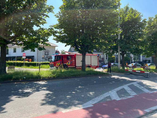 Brandweer heeft bermbrand snel onder controle 