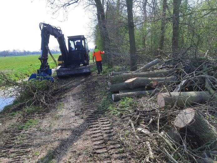 Het opruimen van omgewaaide bomen.