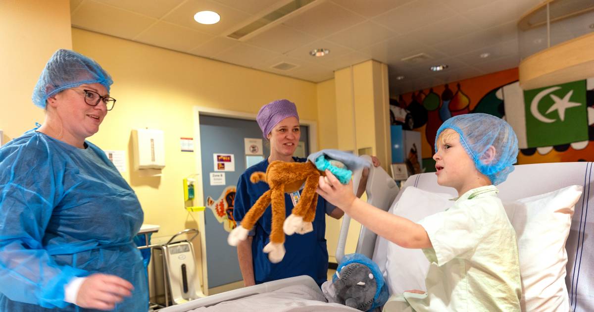 In dit ziekenhuis krijgt éérst teddybeer een infuus, daarna het zieke form | Binnenland