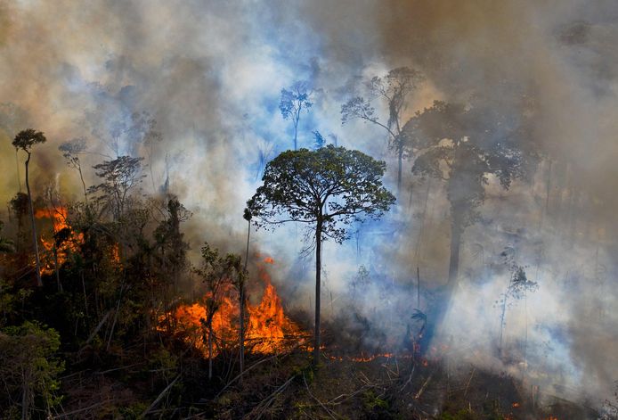 Een illegaal in brand gestoken stuk van het Braziliaanse Amazonewoud.