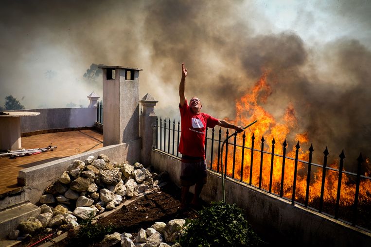 Een inwoner giet water over de vlammen tijdens een bosbrand in Canecas, in de buitenwijken van Lissabon. Beeld ANP/EPA
