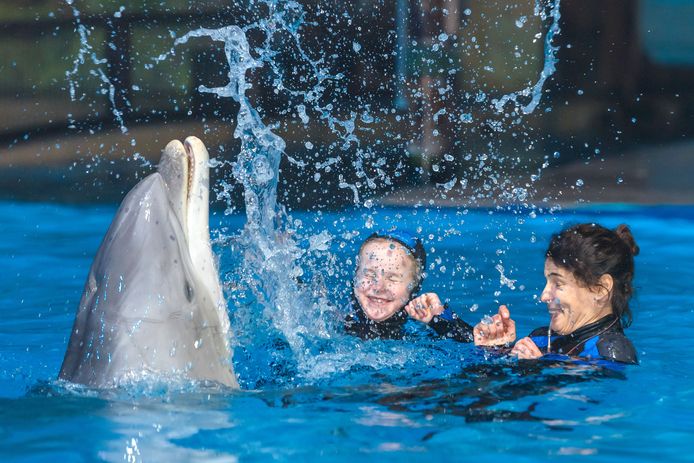 Het Dolfinarium in Brugge is het laatste in ons land