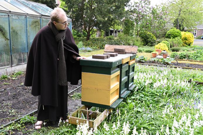 Franciscaner broeder Hans-Peter Bartels ontfermt zich over een drietal bijenkasten achterin de tuin van stadsklooster San Damiano.
