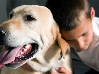 Huisdieren steeds vaker behandeld voor kanker
