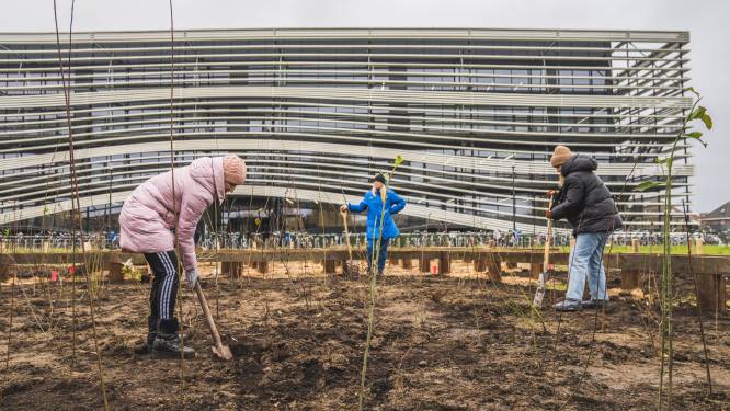 1.000 bomen voor een groenere campus op HOGENT