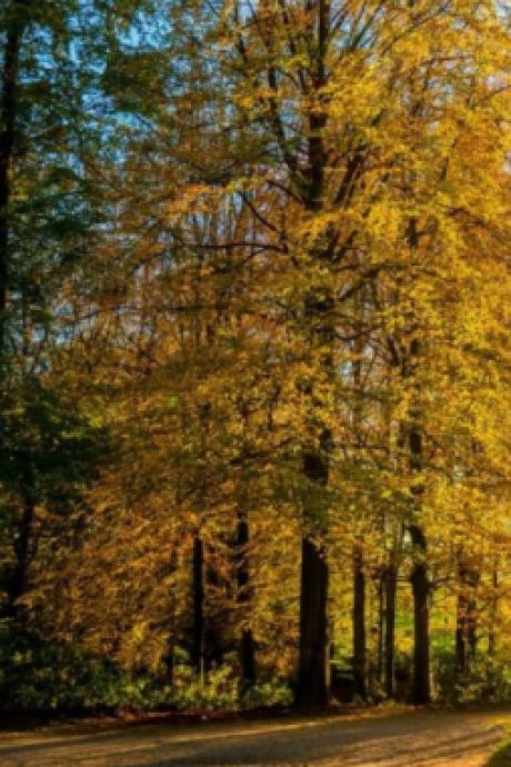 Une grande bouffée d'air frais en famille juste à côté de Bruxelles