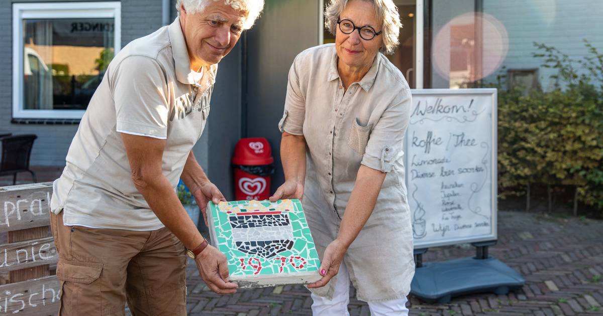 Mozaïek geeft jubilerend Lewedorp kleur