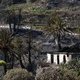 Spanje belooft Canarische eilanden steun na bosbranden