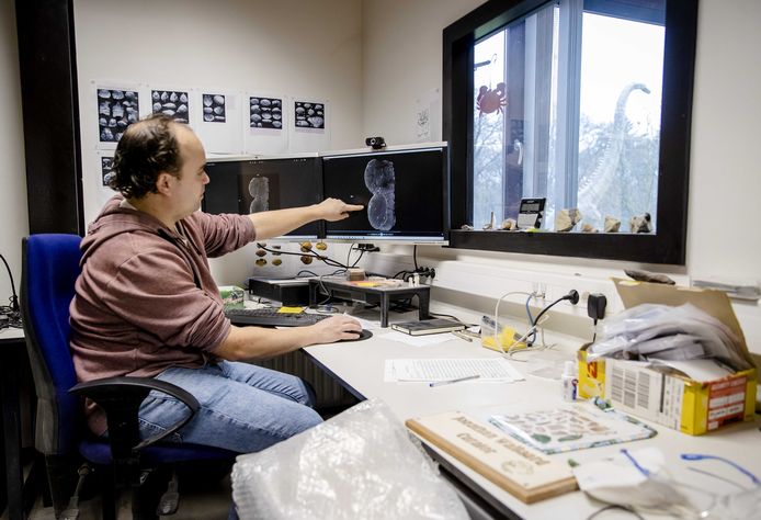 Curator Jonathan Wallaard laat een scan van een dino-ei zien in het Oertijdmuseum.