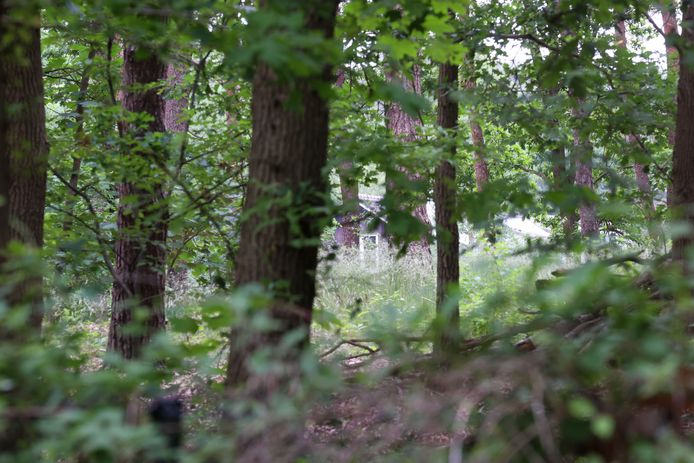 De forensische recherche is maar liefst elf dagen bezig met onderzoek in en rond de bosvilla.