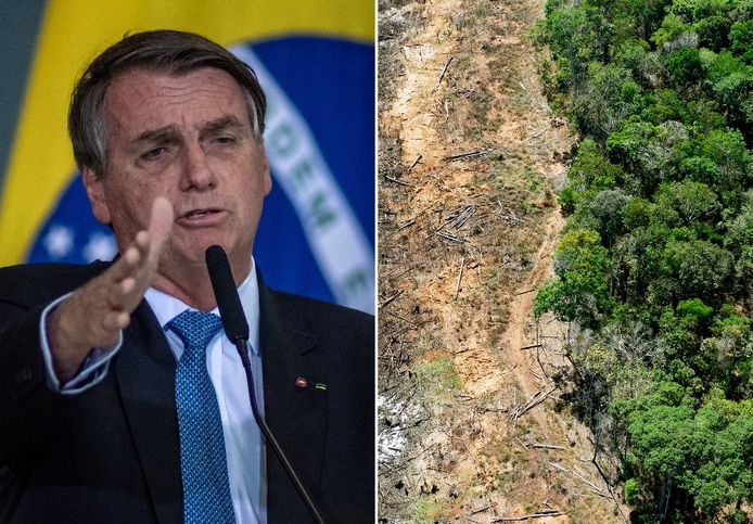 Jair Bolsonaro, ontbossing Amazonewoud