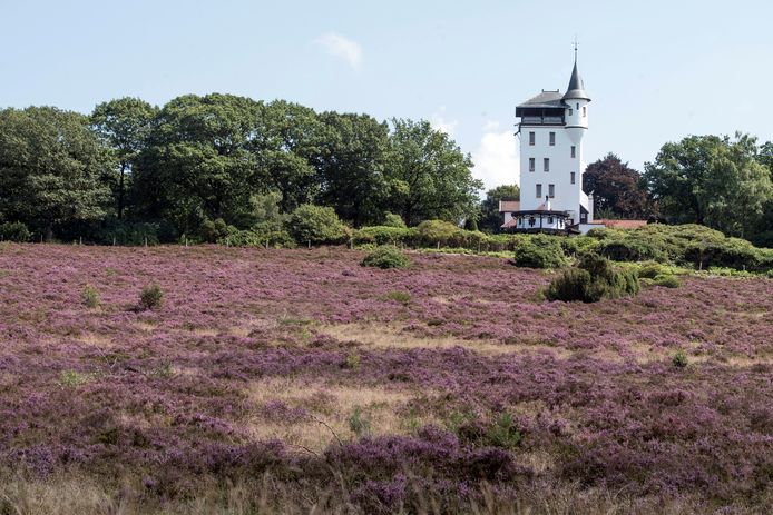 Het grote heidegebied op de Sallandse Heuvelrug wordt fors uitgebreid ten behoeve van flora en fauna.